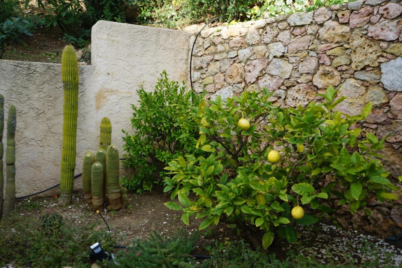 Villa Les Cades Sainte-Maxime Exterior foto